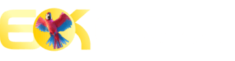 6K GAME